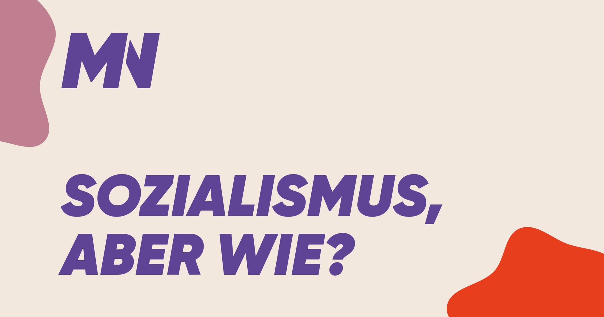 Sozialismus, aber wie?