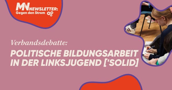 Politische Bildungsarbeit in der Linksjugend ['solid] – ein (persönlicher) Befund